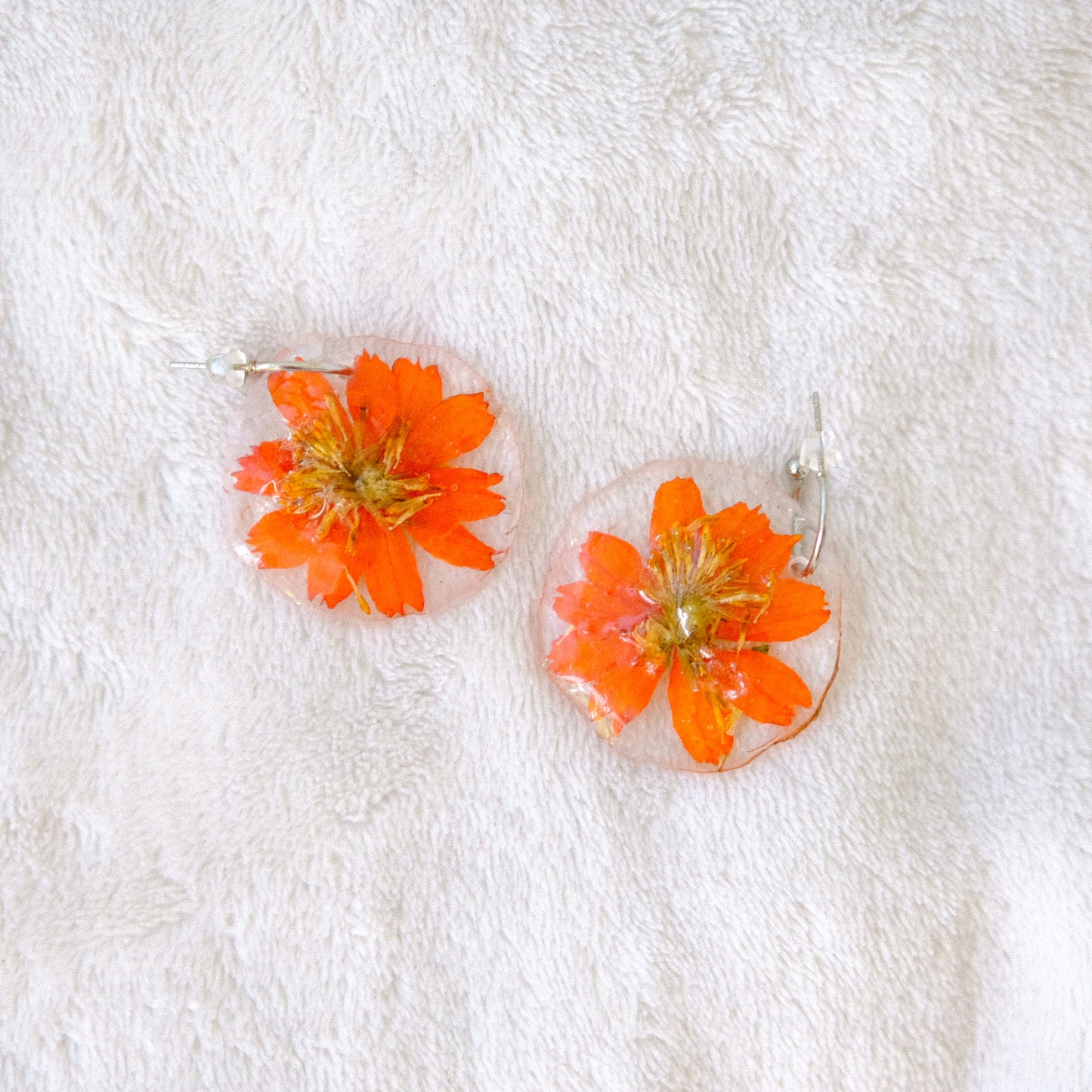 orange cosmos preserved earrings