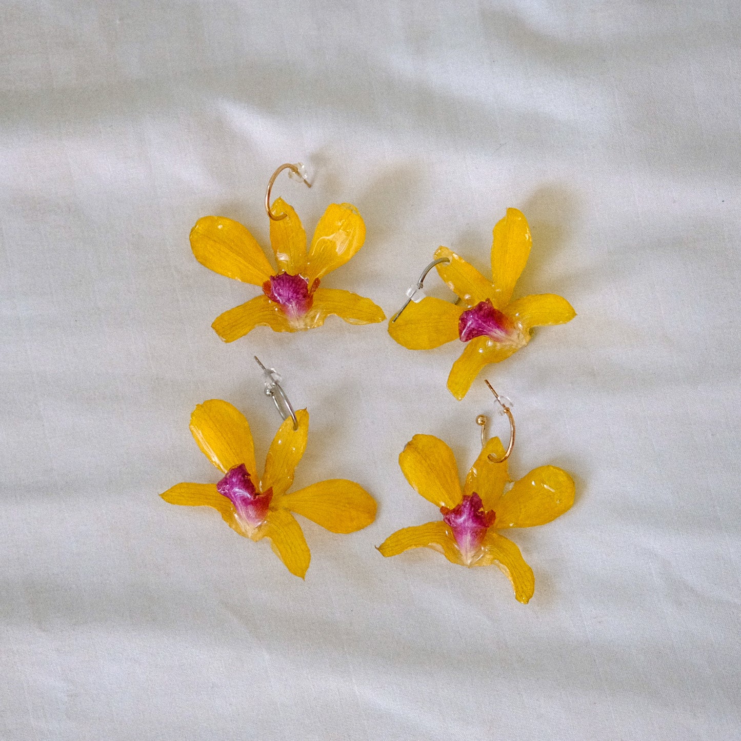 yellow & purple orchid preserved earrings