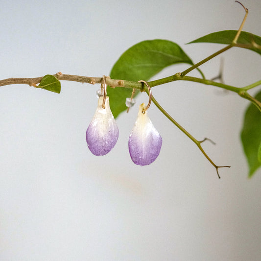 orchid petal preserved earrings